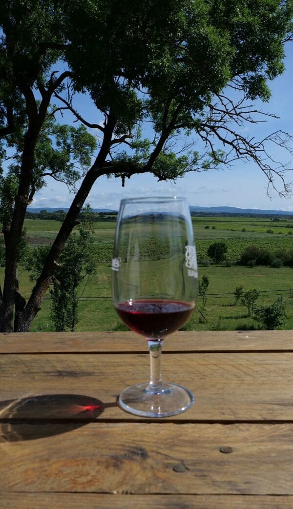 nature verre vin