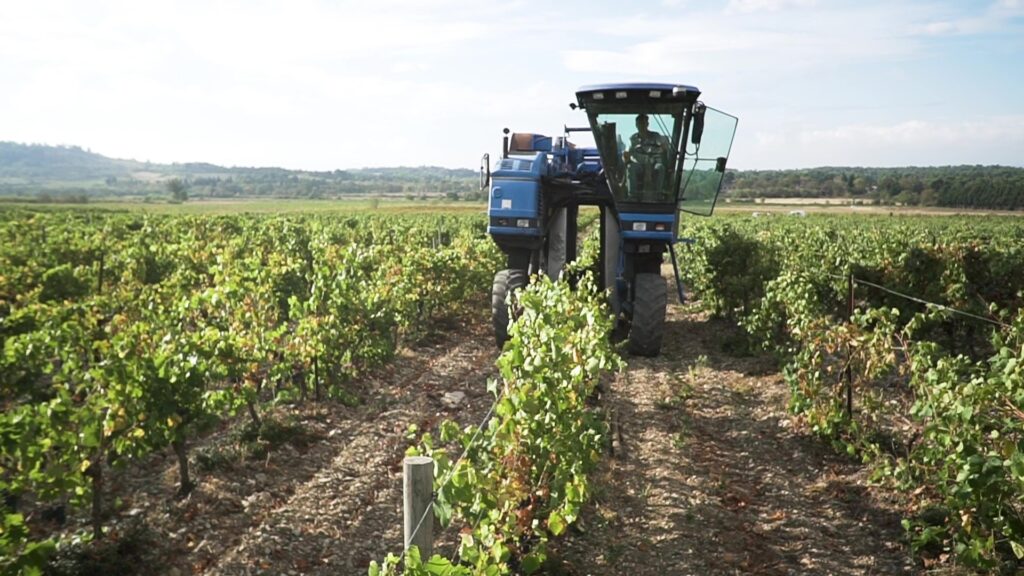 Machine vendanger vendange la Bastide