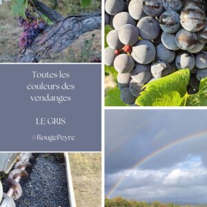 Les vendanges sont terminées