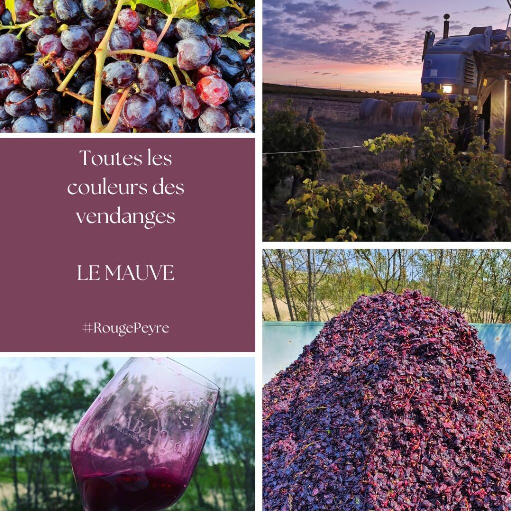 Toutes les couleurs des vendanges (Publication Instagram) (5)