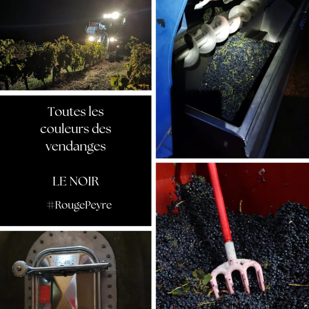 les couleurs des vendnges le noir